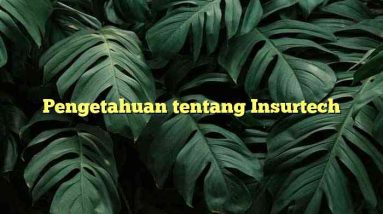 Pengetahuan tentang Insurtech